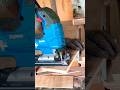 How to make a table saw - a push tool #shorts #shortvideo #diy #woodworking #carpenter