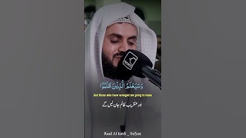 Quran|Raad Al kurdi Whatsapp status with Urdu English translation|سورة الشعراء رعد الكردي