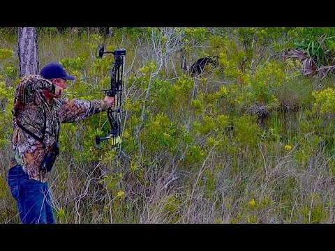 Archery Hog {hunt clean cook} SPOT n' STALK
