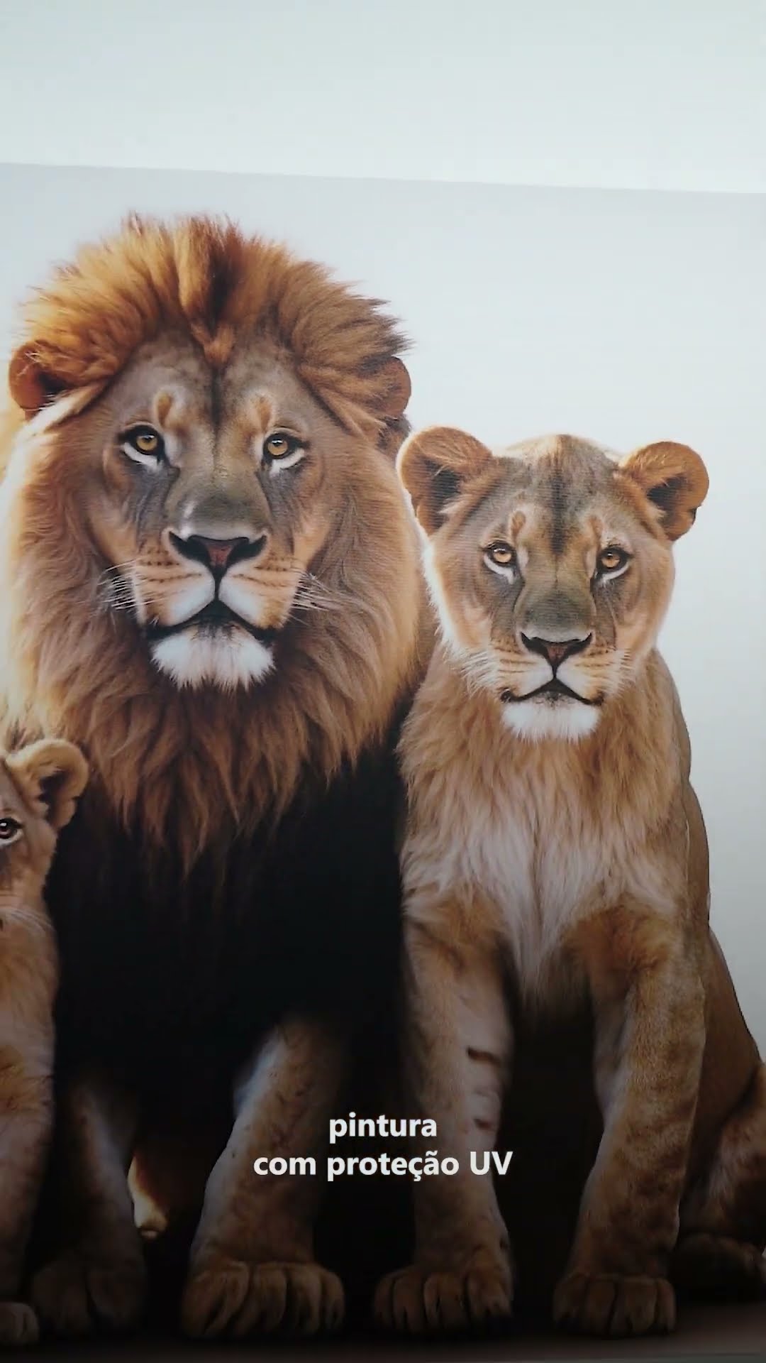 Vídeo de Quadro Abstrato Entrelaços Amadeirados
