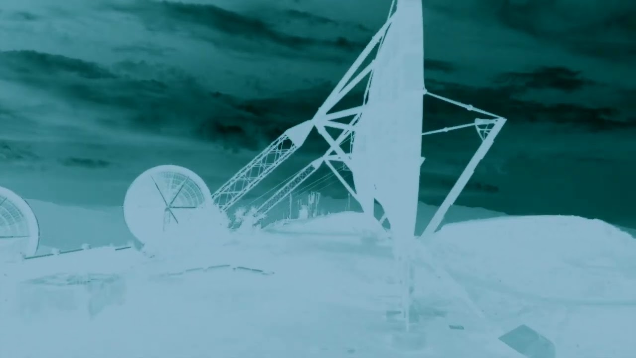 Reel Tape - Fake Bloom