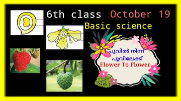 6th class Basic science chapter 3 October 19 homework