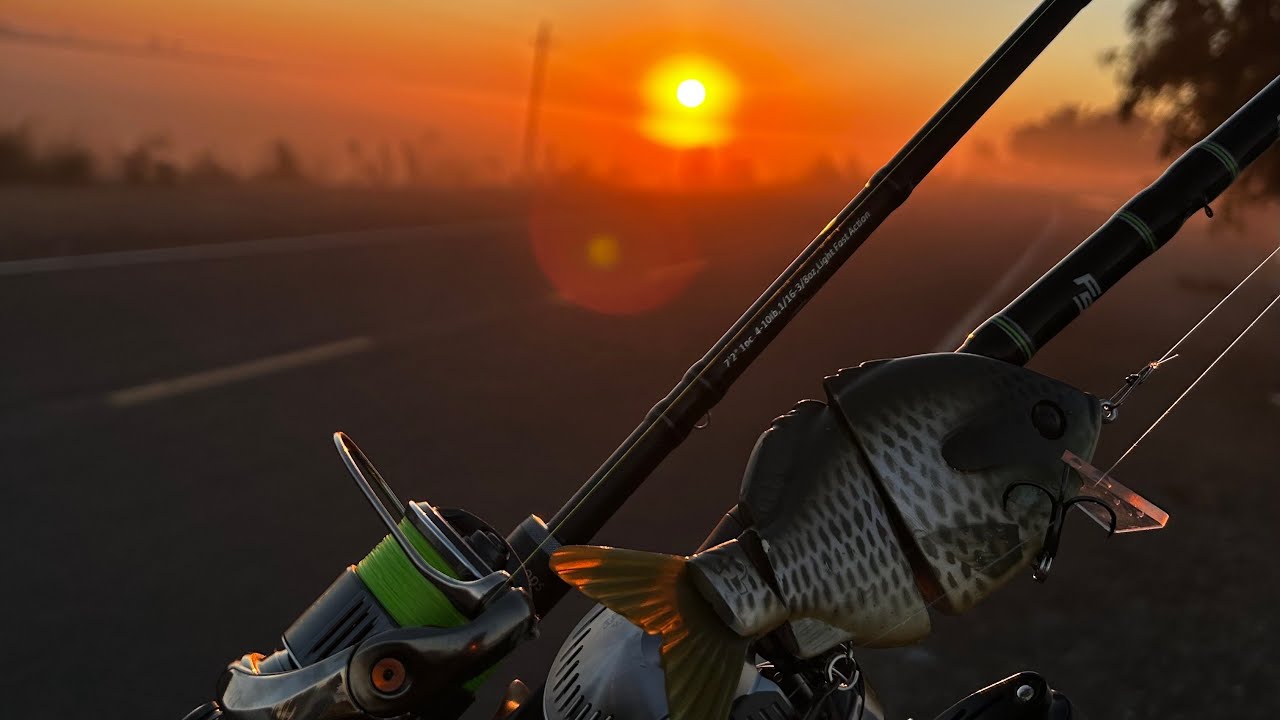 Glide Bait and Finesse Fishing for Striper on the California Delta: Oxbow, Pizz, and Lunker Punkers