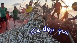 Đánh vô bầy cá ngân rồi|Đánh cá 2024-tập28|Sóng biển Hứa Đông