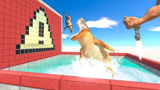 Boosted Punch with Deadly Pool Challenge  Animal Revolt Battle Simulator