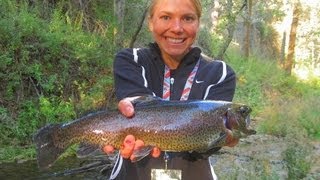 My wife and i had a great day out on the stream fishing for stocked
rainbows wild brown trout. she caught largest one we've ever got this
stre...