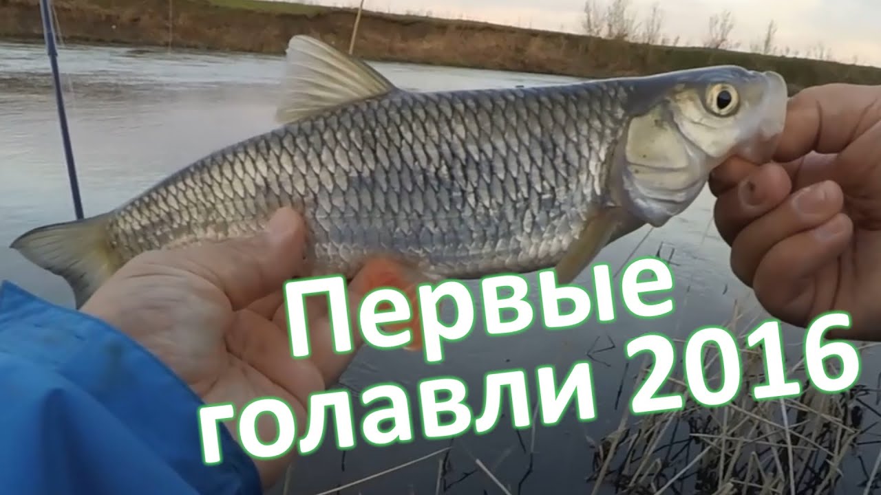Все о ловле рыбы, снастях и оснастках Все о ловле рыбы, снастях и оснастках