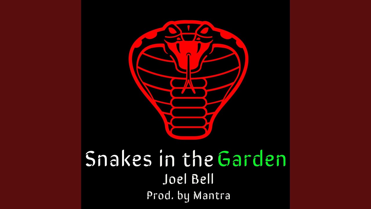 Snakes in the Garden YouTube