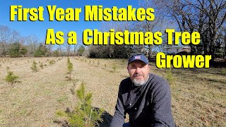 First Year Mistakes Growing Christmas Trees Net Worth