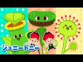 ハエトリグサへようこそ！🌱🐛 ふしぎな植物とかわいいむしさん｜アニメ｜童謡｜ジュニートニー - 子どもの歌と童話 JunyTony