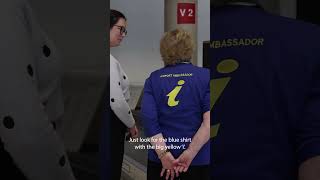 Where has the visitor information desk moved to at the Domestic Terminal?