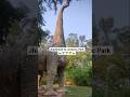 jharkhand ka Jurassic Park || 🦖🦖🦕🦕#new #viral #jurassicpark #jharkhand