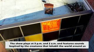 Information Western Washington University Sound.Out.Radio Makes Music for Owls Update