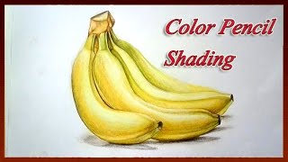 Realistic color pencil drawing tutorial,realistic drawing,realistic
colored techniques,realistic using pencil,colored pen...