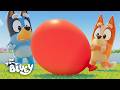 映画 ブルーイ | 公式ティーザー予告編 🎈 | ブルーイ - 日本公式チャンネル - Bluey