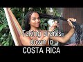 Properly Taking Down Braids in Costa Rica (WITH WILDLIFE!!)