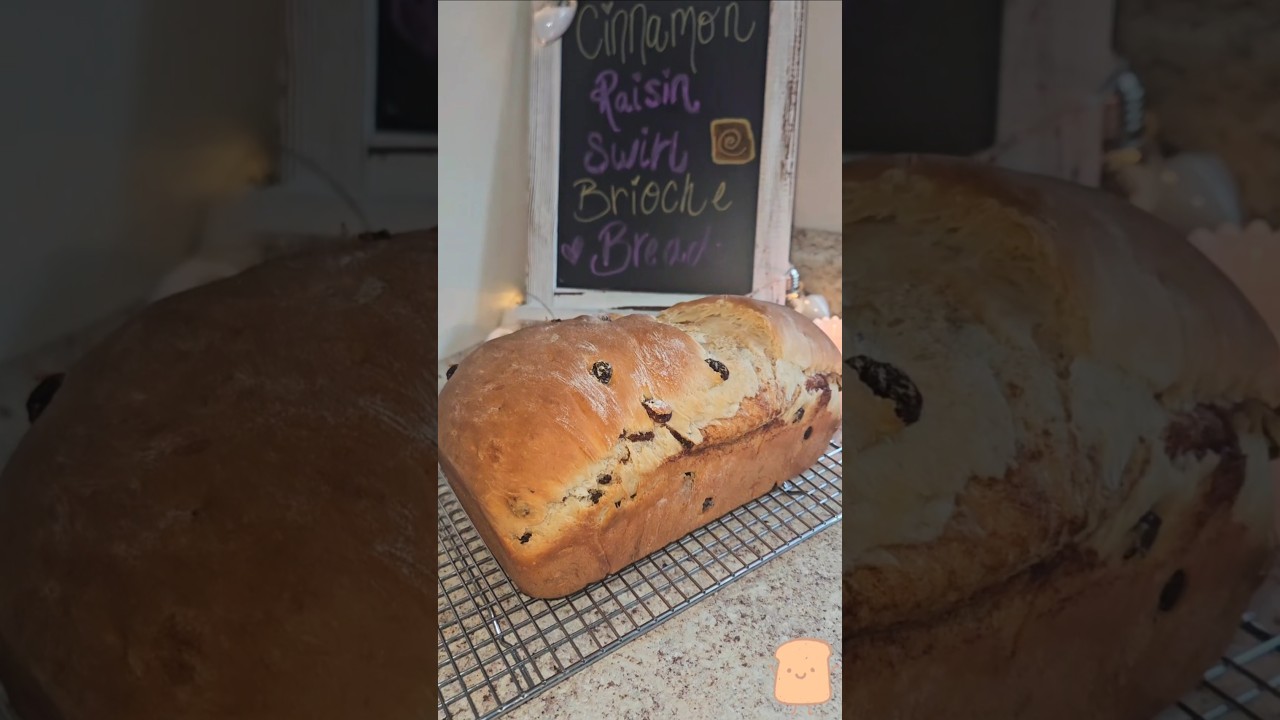 Homemade cinnamon raisin swirl brioche bread♡ #cooking #shorts #bread #bakewithme #artisian #yum