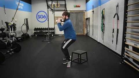 Goblet Oscillating Squat