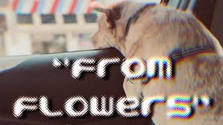 Maintenance - From Flowers [Lyric Video]