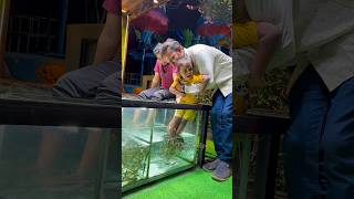 NR Fish Spa🥰 Besant Nagar beach +919952085544 #youtubeshorts #spa #cute #fish #yt #youtube #chennai