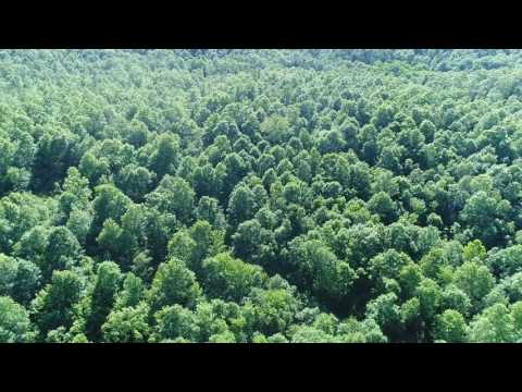 Drone Video Tract 9 at Turkey Hollow