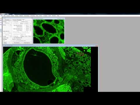 VisiView Application Module: Scan Slide