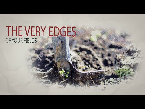 "Life With Edges" | Pastor Troy Fitzgerald | August 19, 2023