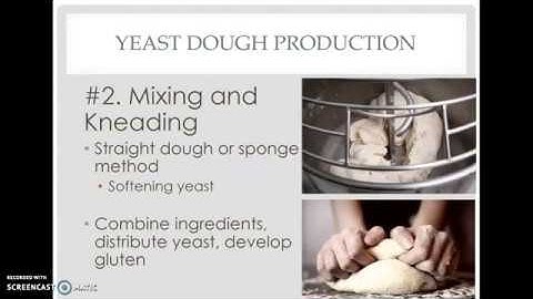 12 Steps of Yeast Dough Production
