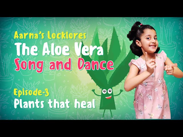 aloe vera pflanze schwarze punkte Aloe vera - Aloe vera