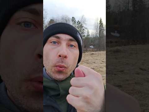 В кармане поют птицы #скетчи #юмор #деньги #свист #выпивка #вечер