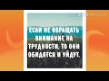 - Слушай, Анка-то двойню родила! Смешной анекдот дня!