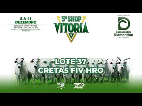 LOTE 37   HRO 6141