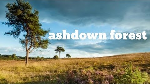 ashdown forest wild camping #unitedkingdom #wildcamping