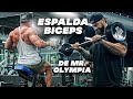 Hice la RUTINA DE ESPALDA Y BICEPS Mr. Olympia de Chris Bumstead (Martes) gym topz