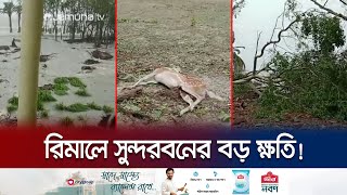 টানা প্রায় ৩৬ ঘণ্টা পানিতে তলিয়ে ছিল সুন্দরবন! | Sundarbans | Cyclone Remal | Jamuna TV