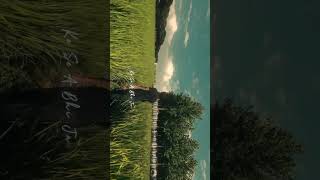 SEE MORE LIKE THIS ( Subscribe )
