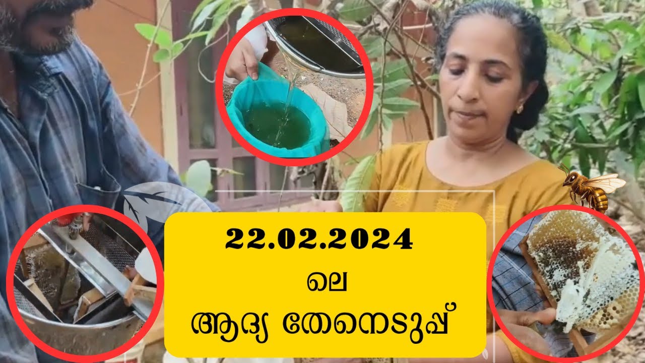 FIELDWORK VIDEO 1 , PART 3