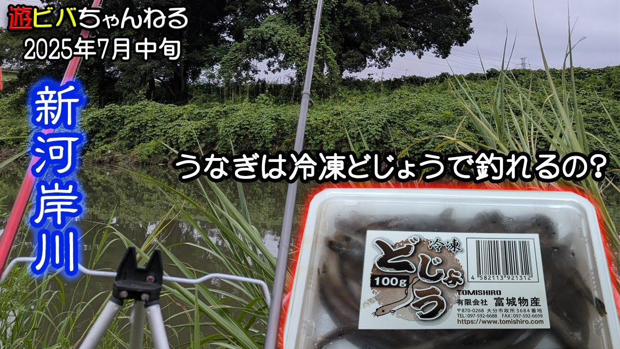 2025年6月下旬と7月中旬　うなぎ釣りの餌の検証をしてみました