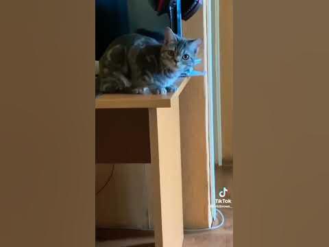 СЕНЯ 😎👍 - YouTube