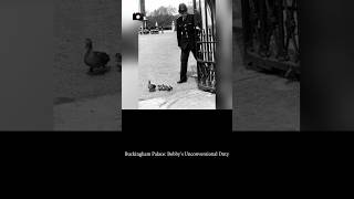 Buckingham Palace: Bobby's Unconventional Duty