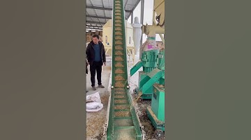 4tph cattle feed manufacturing plant pellet press mill