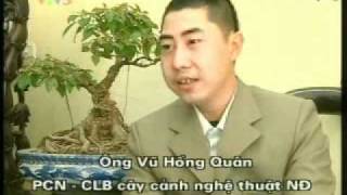 Thú ch?i cây c?nh ? Vi?t Nam