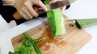 【Orlax 花香氣】 DIY檸檬蘆薈洗潔劑 洗碗精 【Orlax 花香氣】 DIY檸檬蘆薈洗潔劑 洗碗精