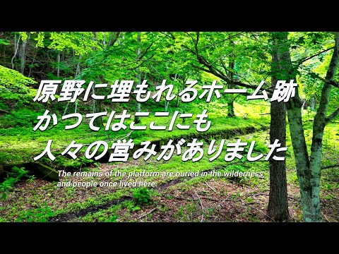 ひろりんさん専用 91vX9IuZ9zL._UF350,350_QL50_.jpg