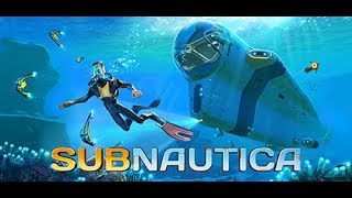 Messing around in subnautica