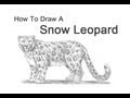 How to Draw a Snow Leopard