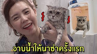 อาบน้ำให้นาซ่าครั้งแรก ใช้ตู้เป่าขนอัตโนมัติ