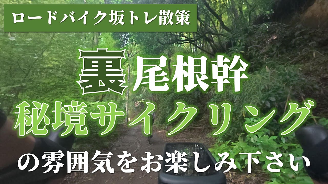 【ロードバイク】都内近郊の秘境散策～裏尾根幹往復サイクリング～