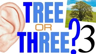 TREE or THREE English pronunciation listening practice training with minimal pair audio examples