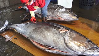 Masterclass: Lightning-Fast Giant Bluefin Tuna Cutting Technique 🐟⚡